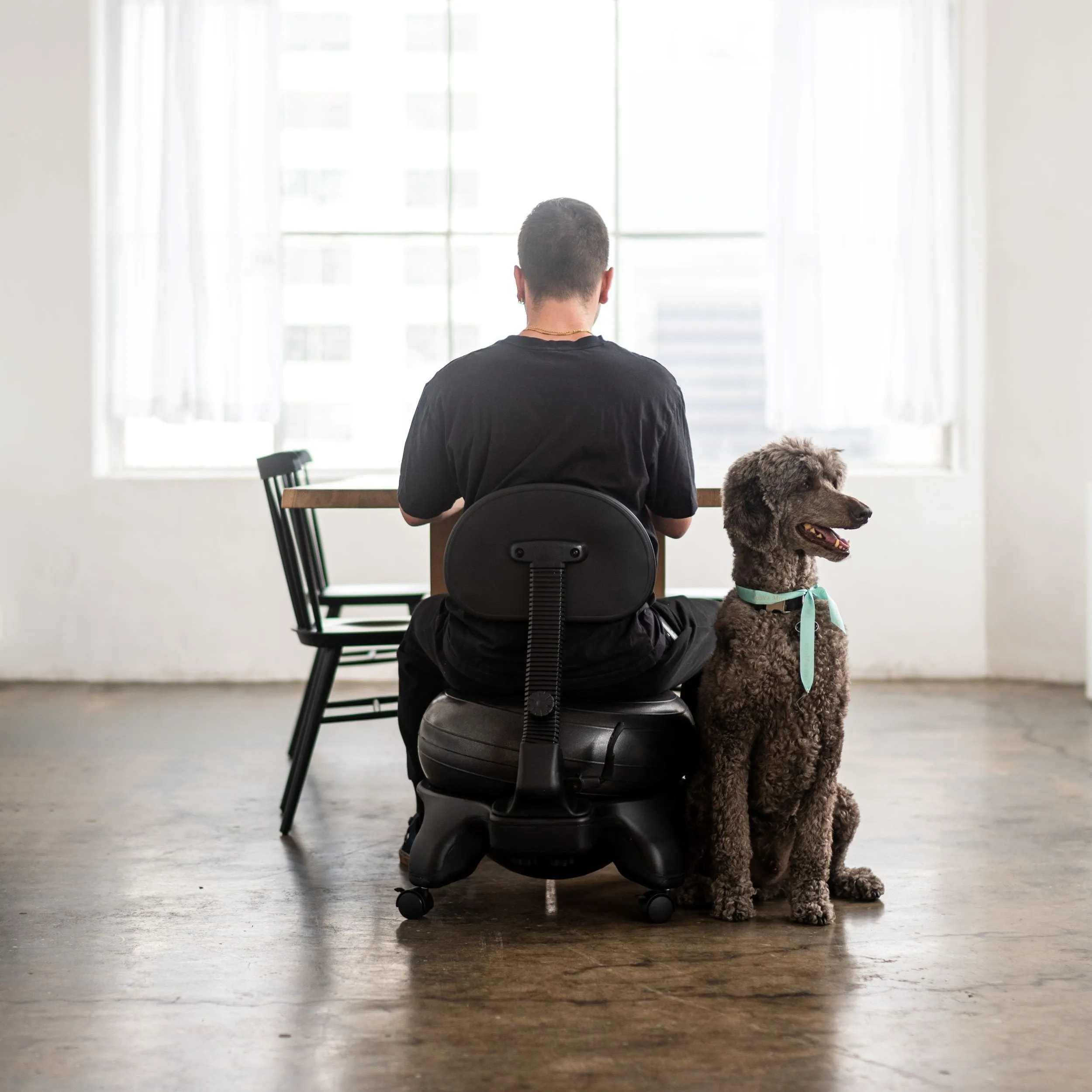 Aeromat Ball Chair