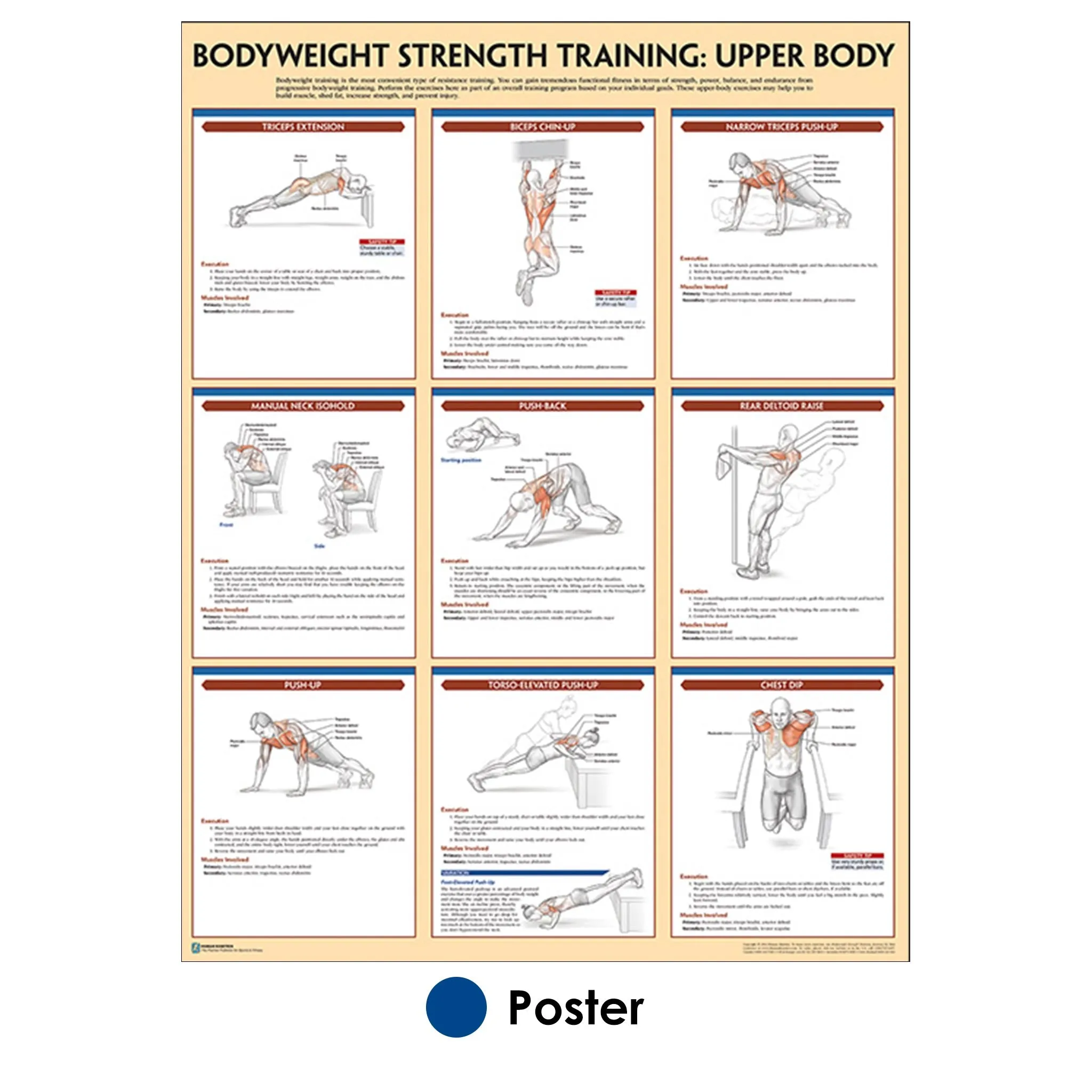 Bodyweight Strength Training Poster: Upper Body