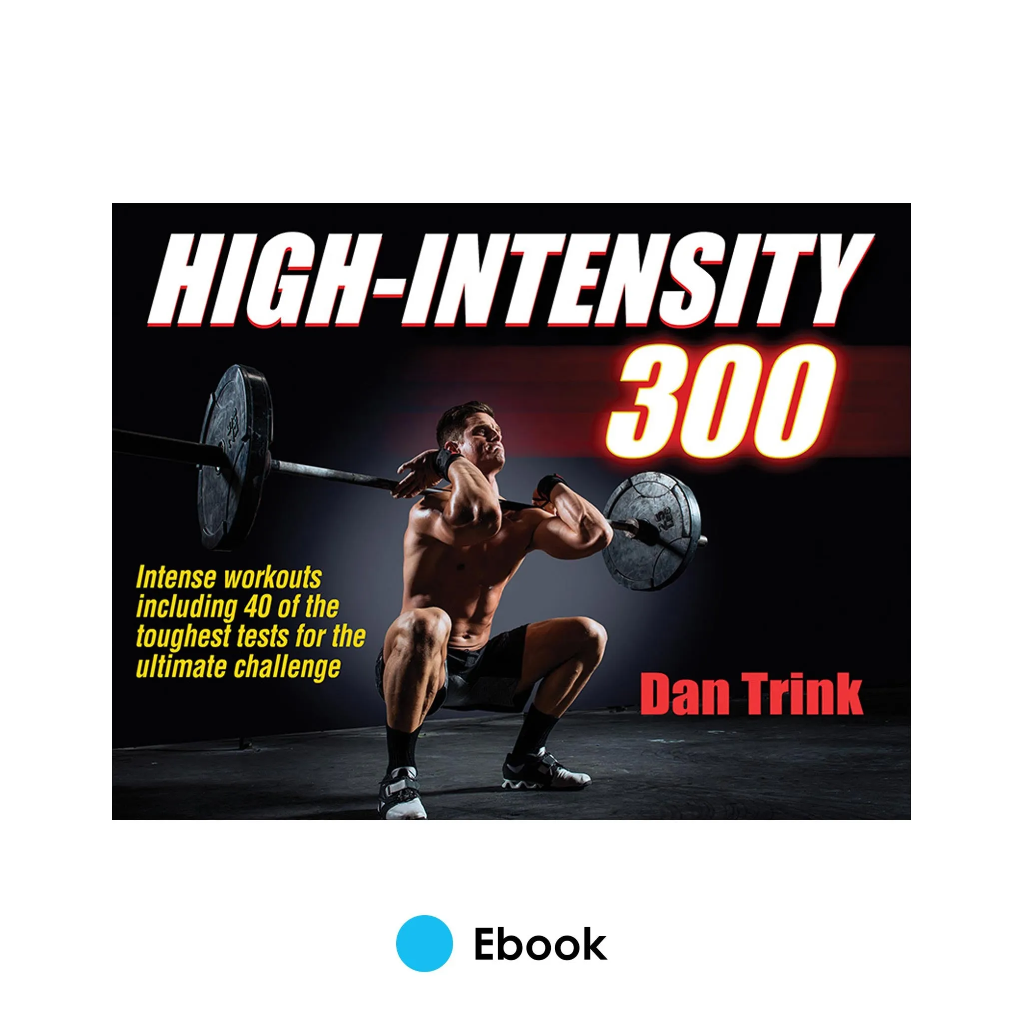 High-Intensity 300 PDF