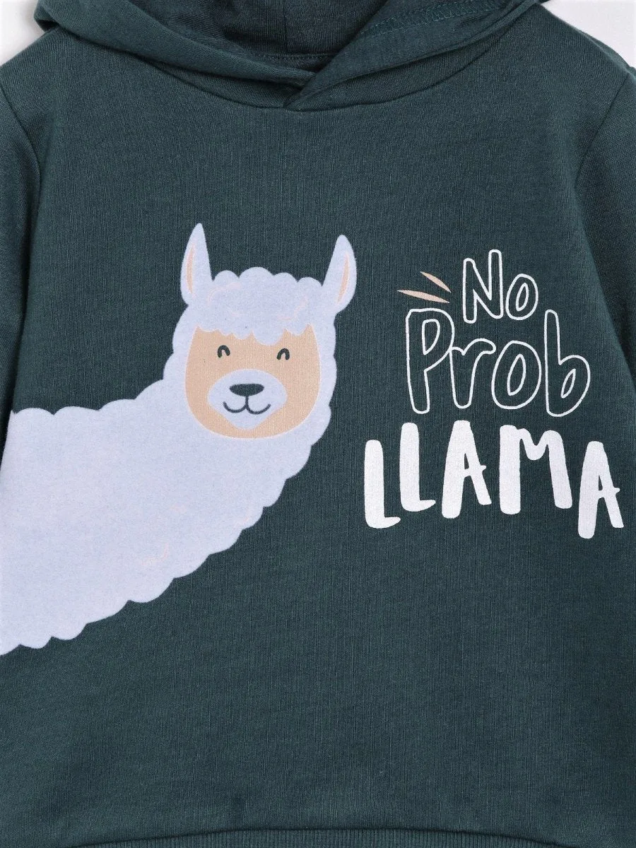 Hooded Sweatshirt Combo of 2-No Prob Llama-Pricks and Hugs