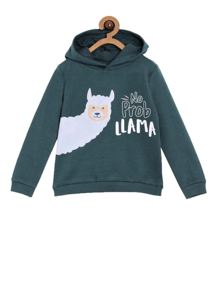 Hooded Sweatshirt Combo of 2-No Prob Llama-Pricks and Hugs