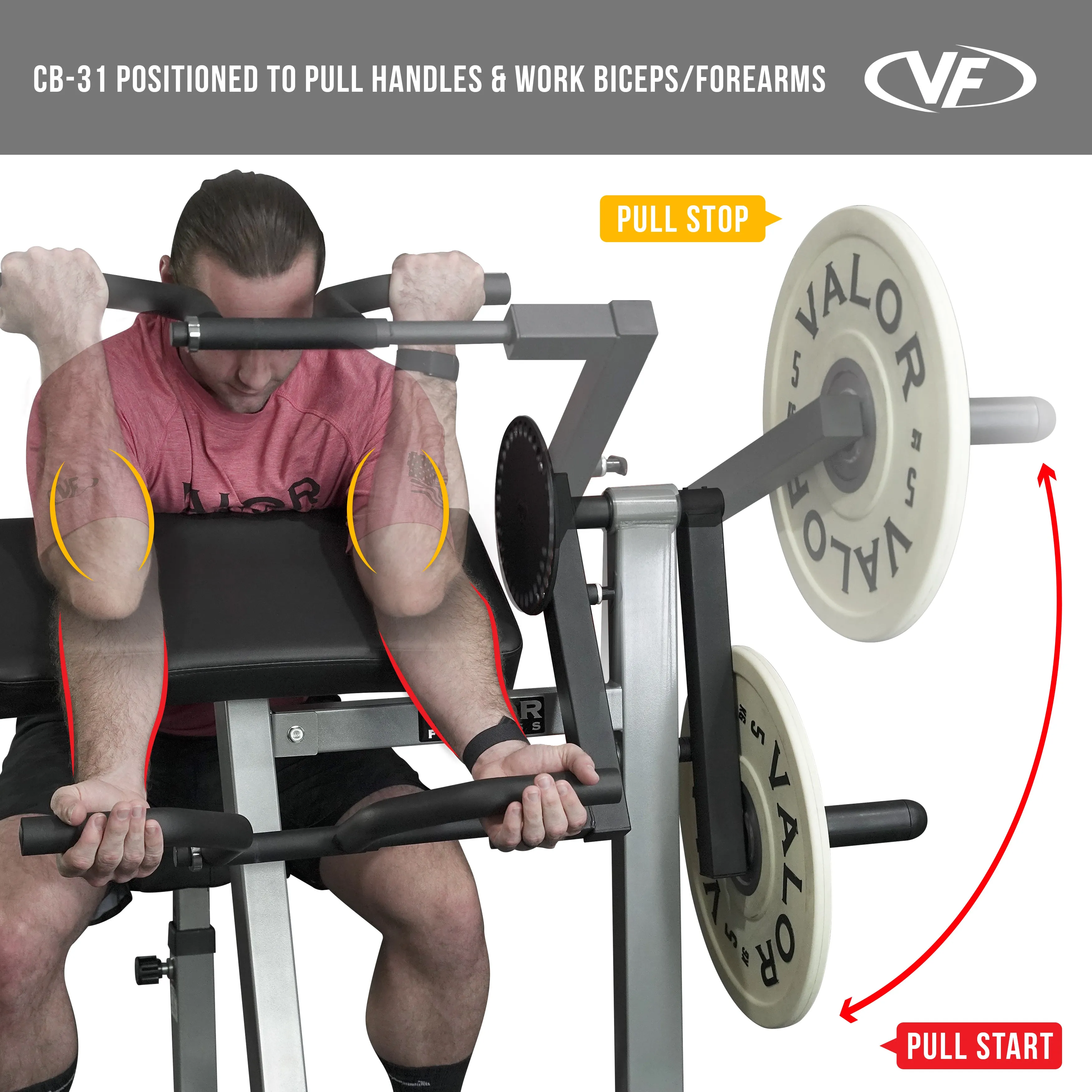 Seated Bicep - Tricep Curl Machine Plate Loaded