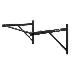 Wall Mounted 48" Standard Pull Up Bar